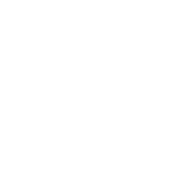 truck ferry logo