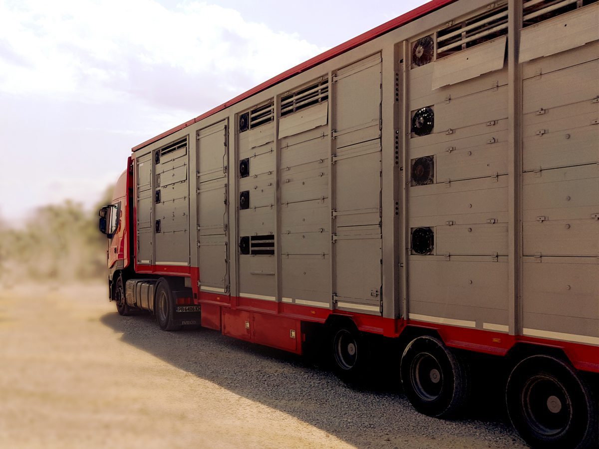 Камион за превоз на едър и дребен добитък